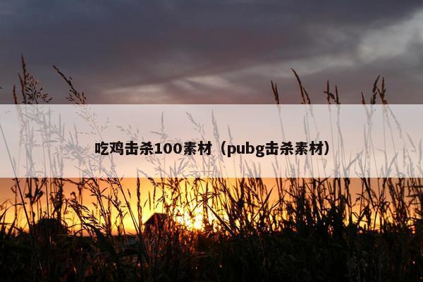 吃鸡击杀100素材（pubg击杀素材）