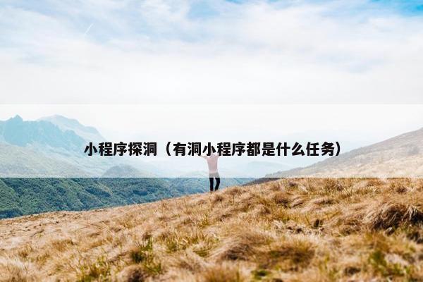 小程序探洞（有洞小程序都是什么任务）