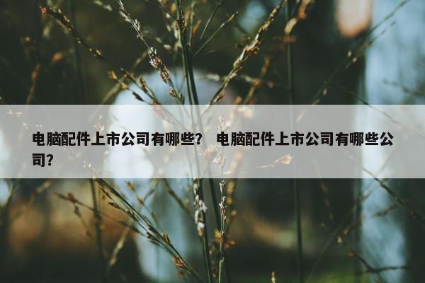 电脑配件上市公司有哪些？ 电脑配件上市公司有哪些公司？