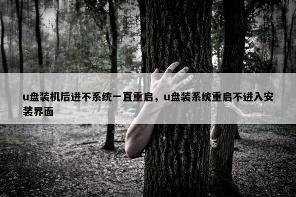 u盘装机后进不系统一直重启,u盘装系统重启不进入安装界面 u盘装机后进不系统一直重启,u盘装系统重启不进入安装界面