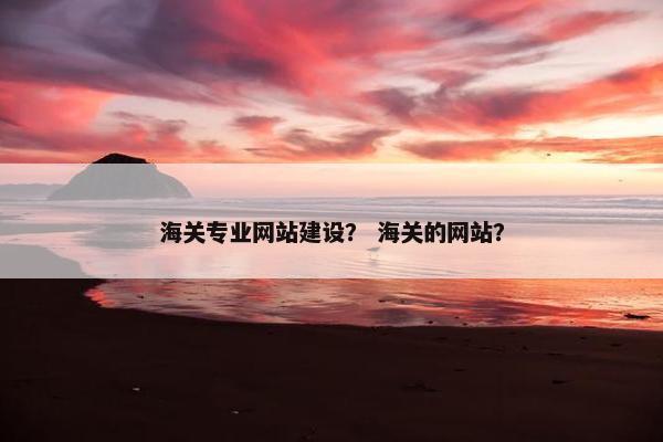 海关专业网站建设？ 海关的网站？
