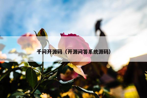 千问开源码（开源问答系统源码）