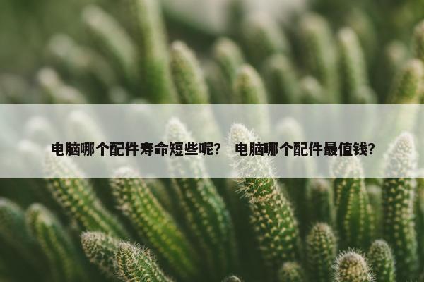 电脑哪个配件寿命短些呢？ 电脑哪个配件最值钱？