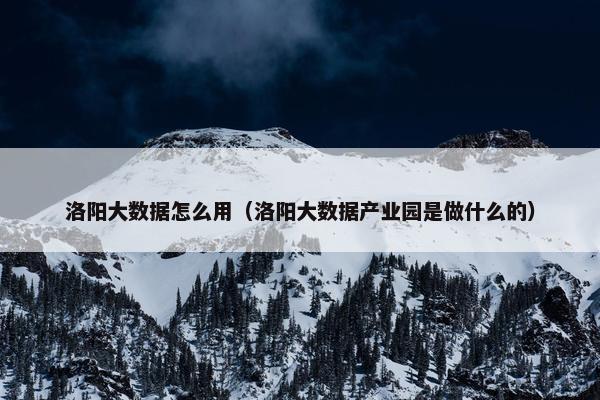洛阳大数据怎么用（洛阳大数据产业园是做什么的）