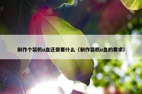 制作个装机u盘还需要什么（制作装机u盘的要求）