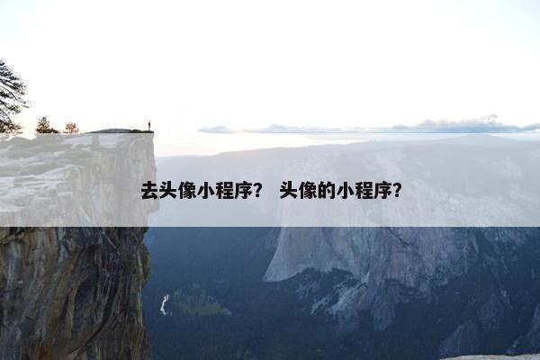 去头像小程序？ 头像的小程序？