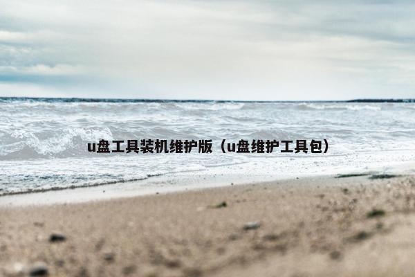 u盘工具装机维护版（u盘维护工具包）