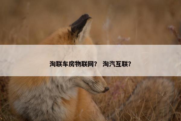 淘联车房物联网？ 淘汽互联？