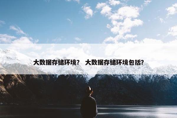大数据存储环境？ 大数据存储环境包括？