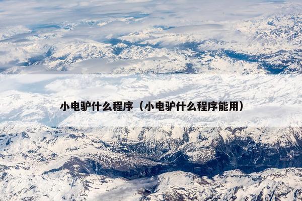 小电驴什么程序（小电驴什么程序能用）