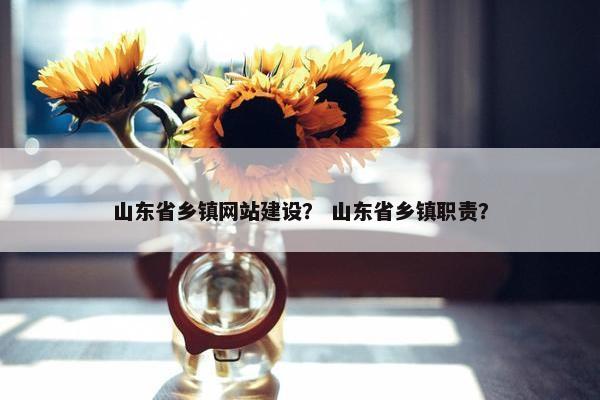 山东省乡镇网站建设？ 山东省乡镇职责？