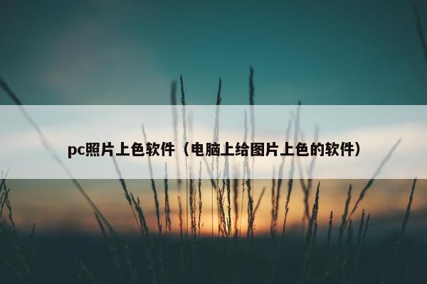 pc照片上色软件（电脑上给图片上色的软件）