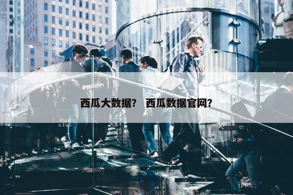 西瓜大数据？ 西瓜数据官网？