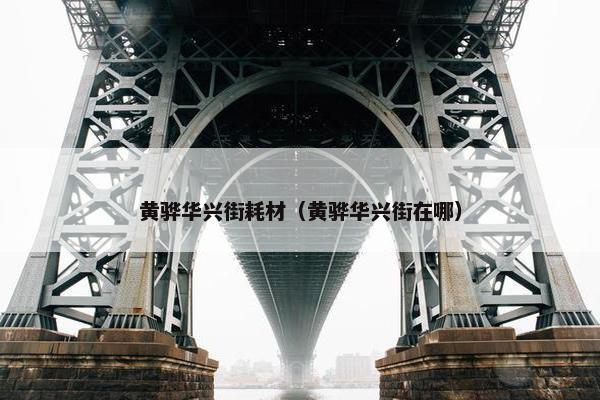 黄骅华兴街耗材（黄骅华兴街在哪）