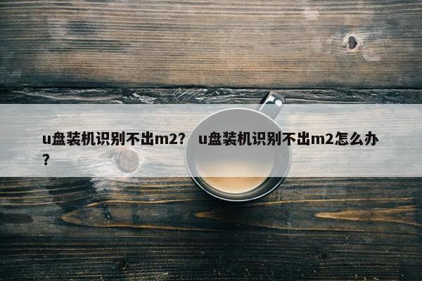 u盘装机识别不出m2？ u盘装机识别不出m2怎么办？