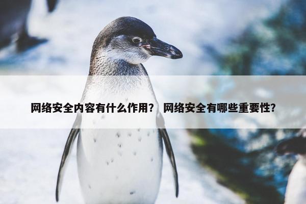 网络安全内容有什么作用？ 网络安全有哪些重要性？
