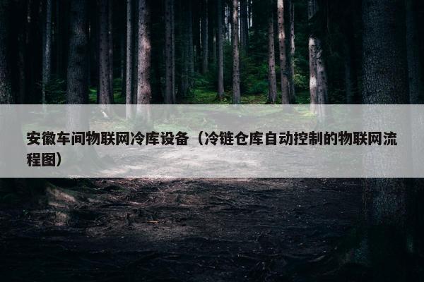 安徽车间物联网冷库设备（冷链仓库自动控制的物联网流程图）