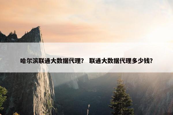 哈尔滨联通大数据代理？ 联通大数据代理多少钱？