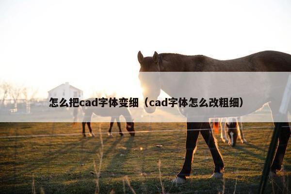 怎么把cad字体变细（cad字体怎么改粗细）