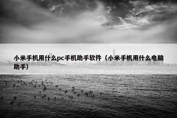 小米手机用什么pc手机助手软件（小米手机用什么电脑助手）