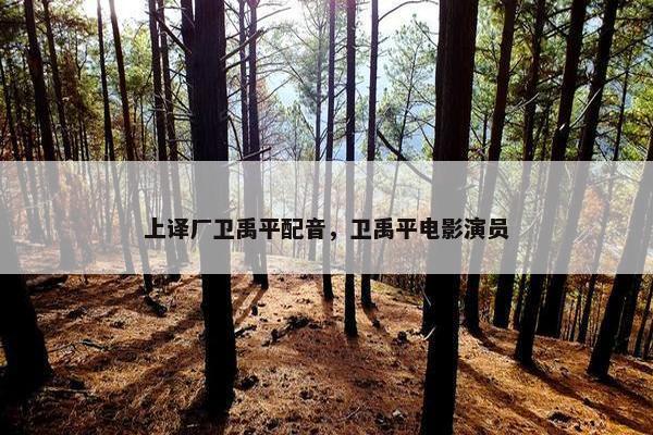 上译厂卫禹平配音，卫禹平电影演员