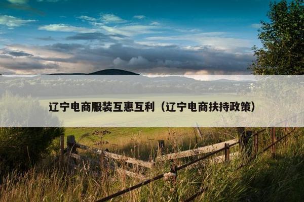 辽宁电商服装互惠互利（辽宁电商扶持政策）