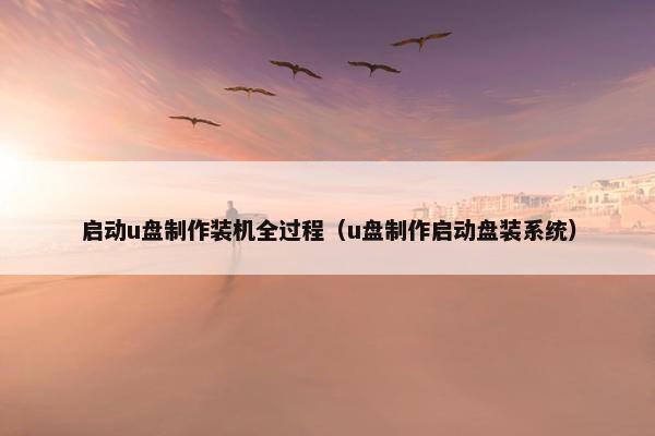 启动u盘制作装机全过程（u盘制作启动盘装系统）