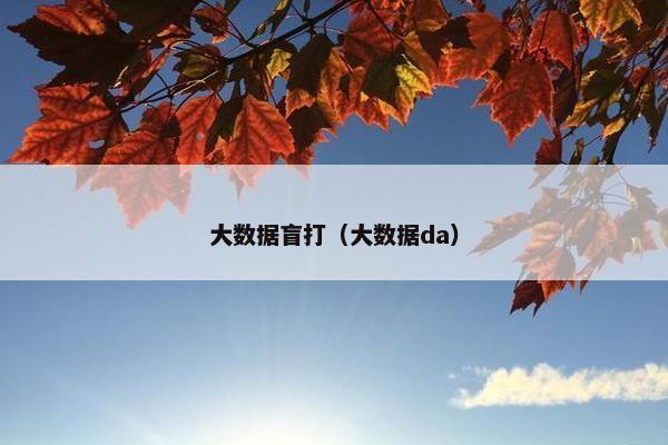 大数据盲打（大数据da）