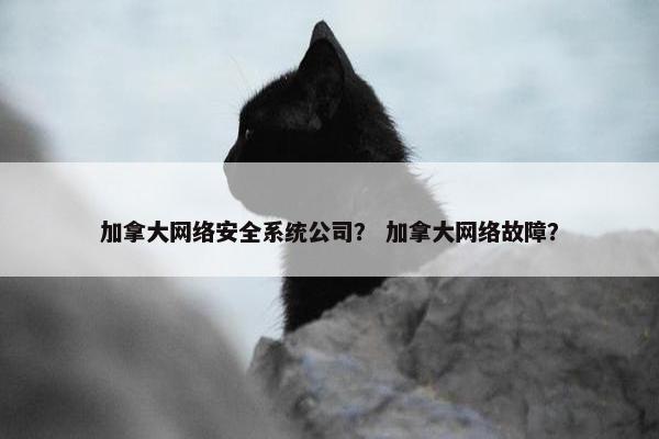 加拿大网络安全系统公司？ 加拿大网络故障？