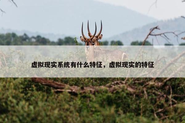 虚拟现实系统有什么特征，虚拟现实的特征