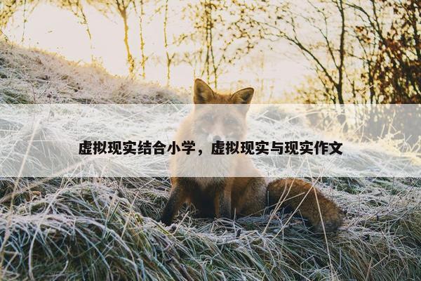 虚拟现实结合小学，虚拟现实与现实作文