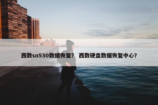 西数sn530数据恢复？ 西数硬盘数据恢复中心？