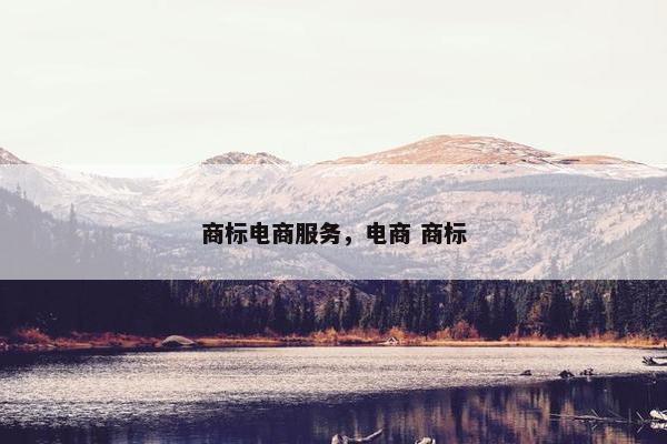 商标电商服务，电商 商标