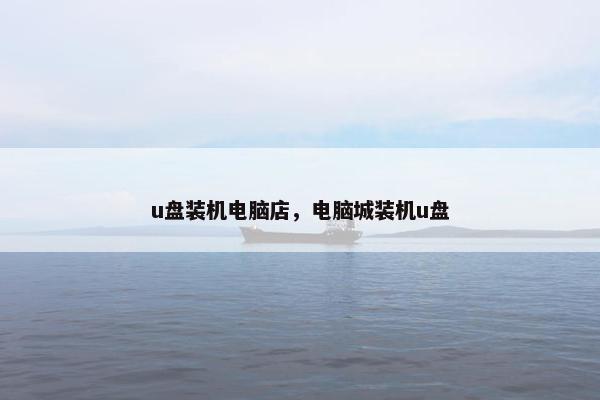 u盘装机电脑店，电脑城装机u盘