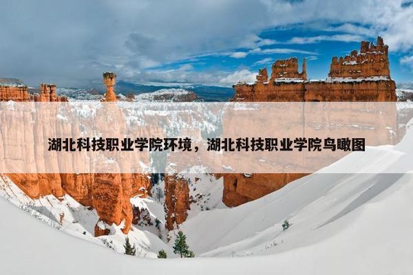 湖北科技职业学院环境，湖北科技职业学院鸟瞰图