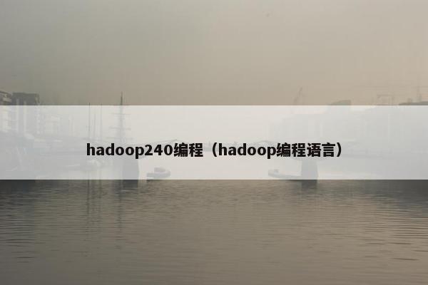 hadoop240编程（hadoop编程语言）