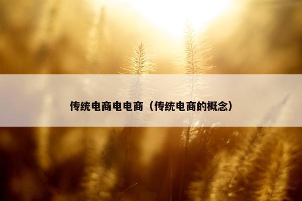 传统电商电电商（传统电商的概念）