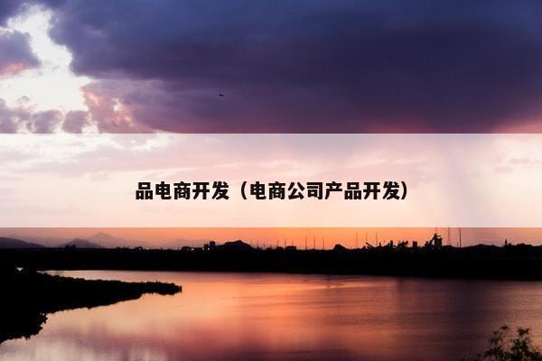 品电商开发（电商公司产品开发）