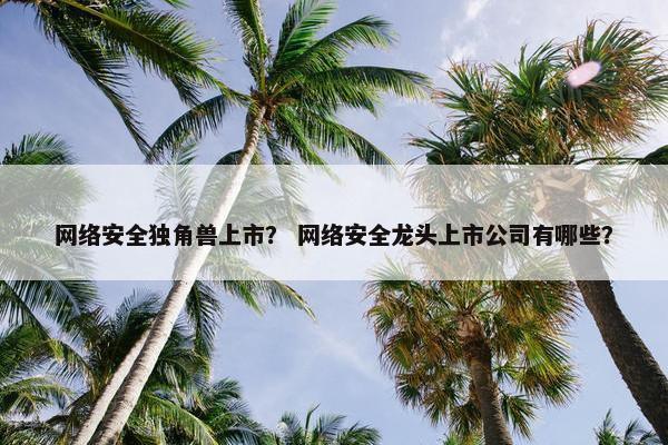 网络安全独角兽上市？ 网络安全龙头上市公司有哪些？