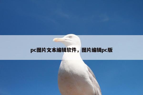 pc图片文本编辑软件，图片编辑pc版