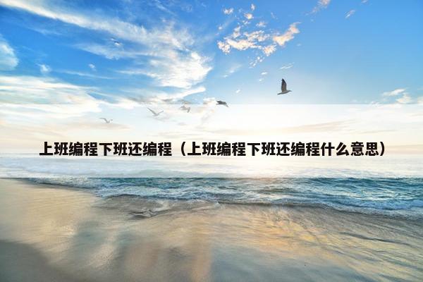 上班编程下班还编程（上班编程下班还编程什么意思）