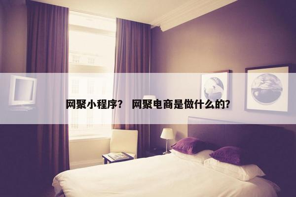 网聚小程序？ 网聚电商是做什么的？