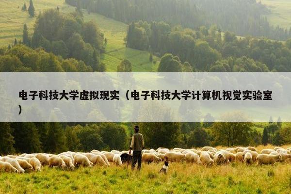 电子科技大学虚拟现实（电子科技大学计算机视觉实验室）