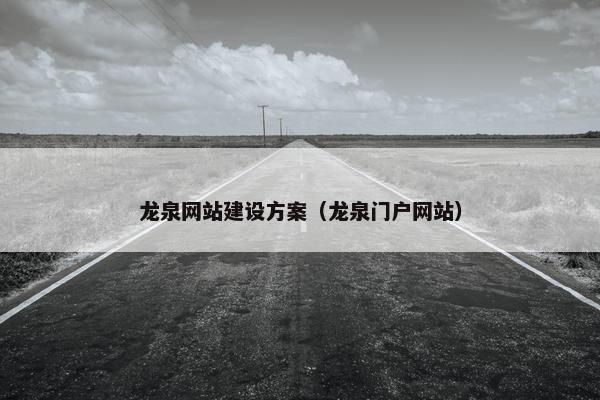 龙泉网站建设方案（龙泉门户网站）