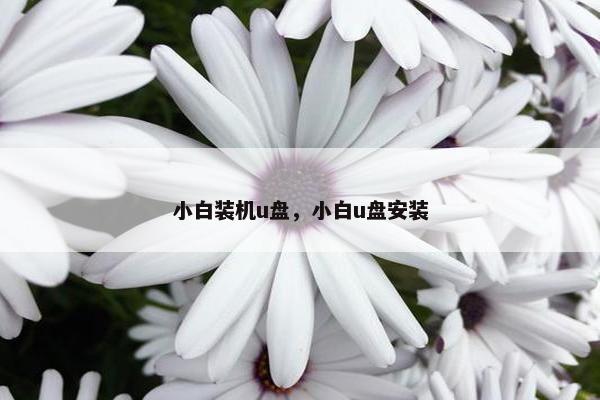 小白装机u盘，小白u盘安装