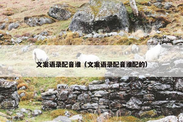 文案语录配音谁（文案语录配音谁配的）