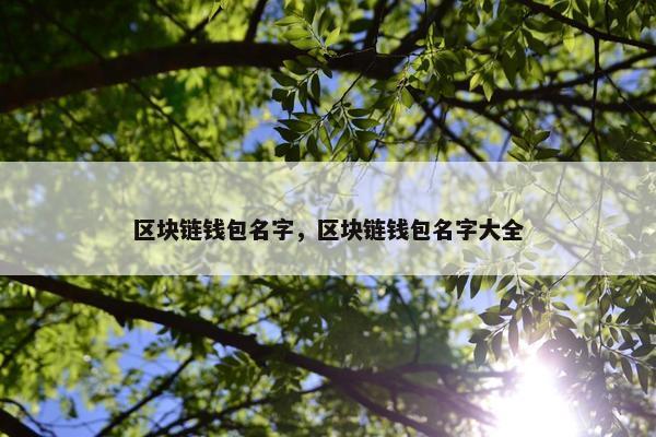 区块链钱包名字，区块链钱包名字大全