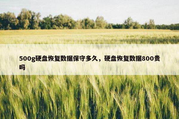 500g硬盘恢复数据保守多久，硬盘恢复数据800贵吗