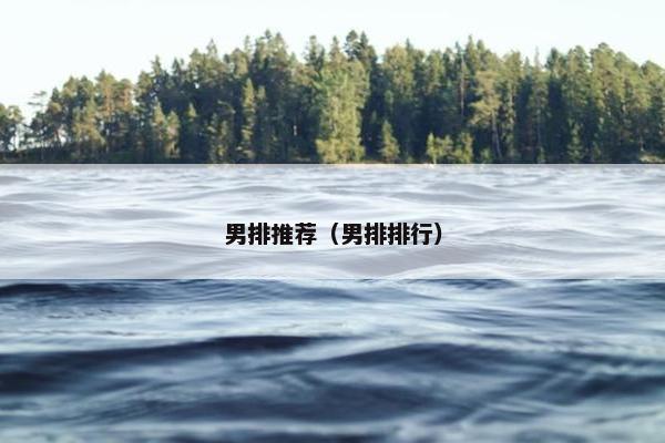 男排推荐（男排排行）