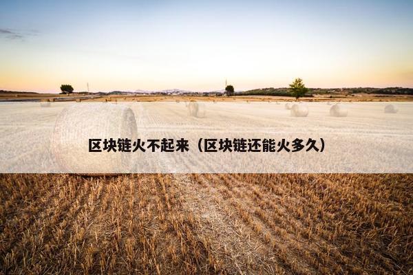区块链火不起来（区块链还能火多久）